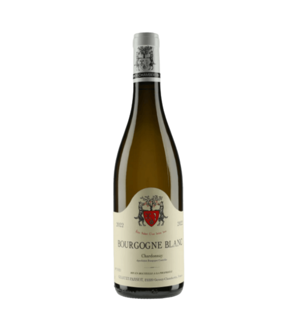 2022 Geantet Pansiot Bourgogne Chardonnay Blanc-商品圖片