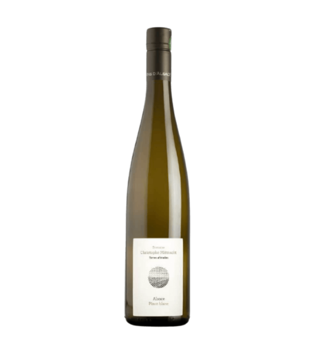 2024 Terres detoiles Pinot Blanc 商品圖片-Melody